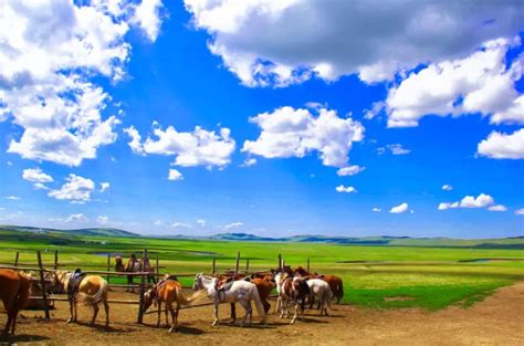 Hulunbuir Prairie A Scenic Tapestry of Rolling Hills and Nomadic Charm!