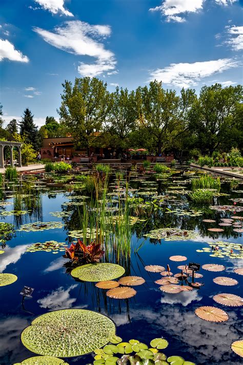 The Denver Botanic Gardens: Where Botanical Beauty Meets Urban Oasis!