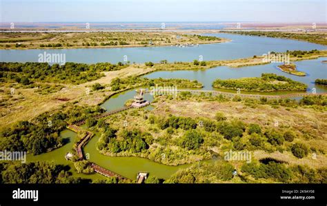 Dongying Yellow River Estuary Wetland Nature Reserve: A Symphony of Biodiversity and Tranquil Beauty!