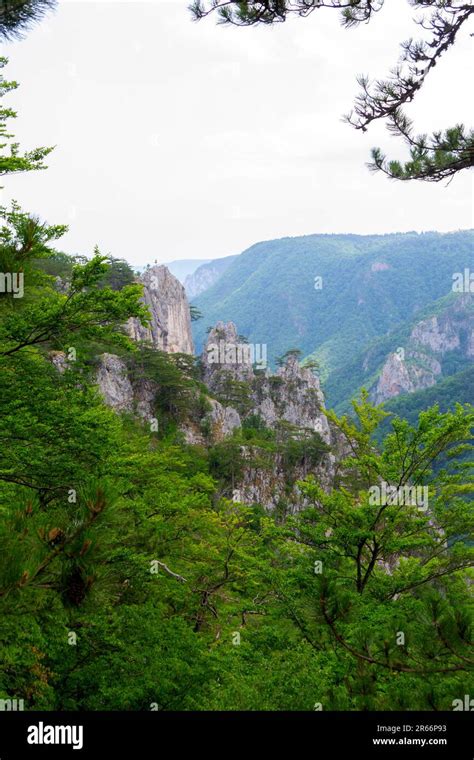 Jin Tuo Mountain Scenic Area: Immerse Yourself in Majestic Peaks and Ancient Legends!