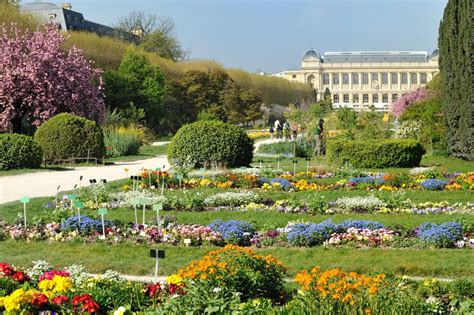 Le Jardin des Plantes: A Thriving Oasis of Botanical Wonder and Zoological Delight!