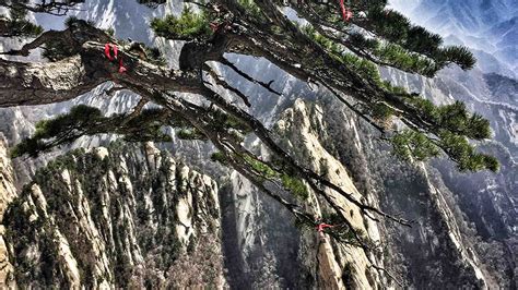 Mount Hua Scenic Area: A Breathtaking Pinnacle of Natural Wonder and Thrilling Adventure