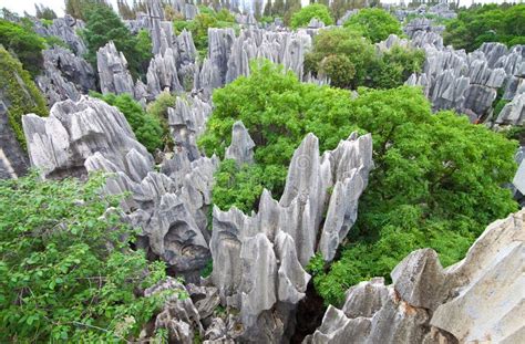 Stone Forest An Ancient Limestone Wonderland Where Nature Performs Extraordinary Sculptures!