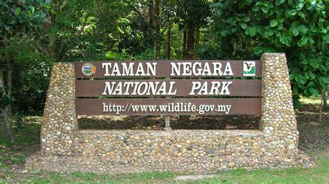 Taman Negara: Embark on an Unforgettable Adventure Through Malaysia's Primeval Rainforest!