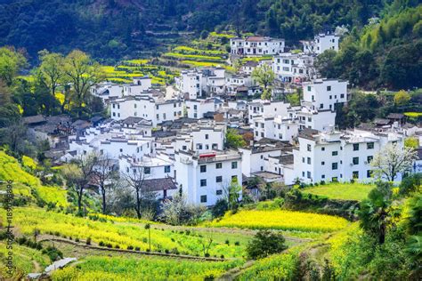  The  Wuyuan County Terraced Fields: A Symphony of Green and Ancient Wisdom!